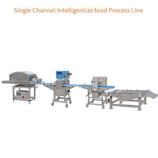 Single Channel Intelligentize food Process Line